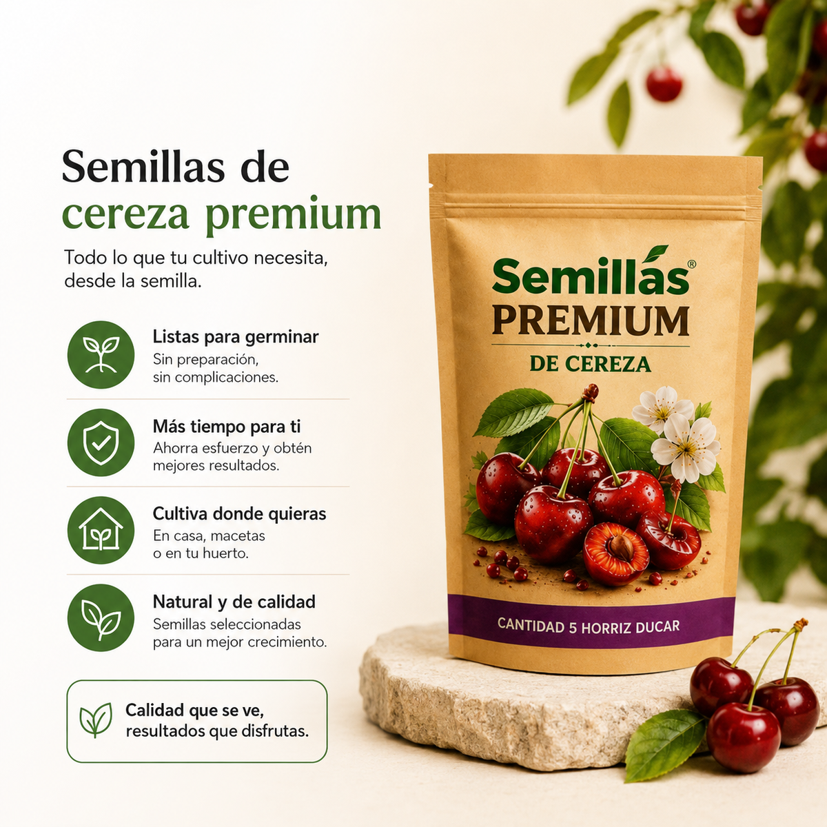 Semillas de Cerezas PREMIUM + ENVIO GRATIS 🚚 🇭🇳