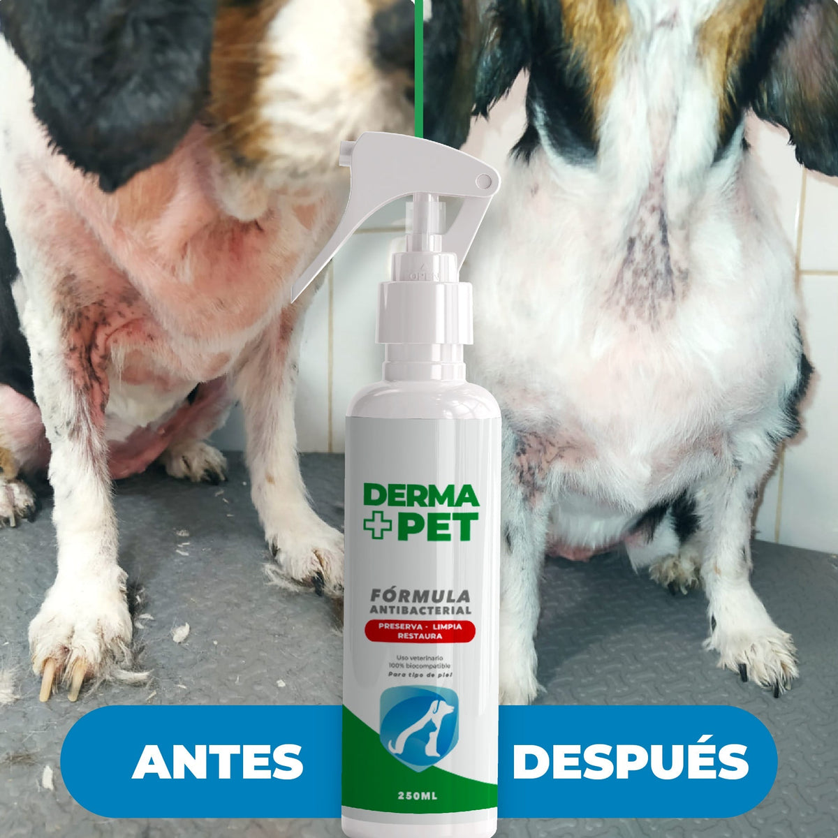 DermaPet™ Elimina dolor e irritación por alergias 🐶🐱