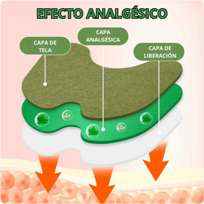 🌿 Parche de hierbas terapéuticas – Alivia el dolor de rodilla y recupera movilidad | 2x1