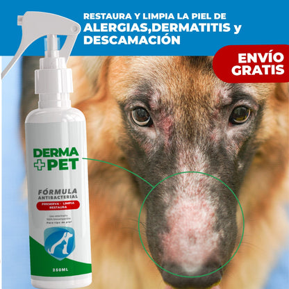 DermaPet™ Elimina dolor e irritación por alergias 🐶🐱