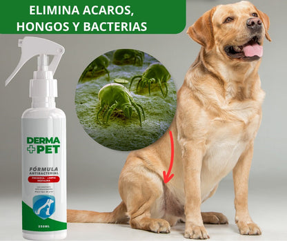 DermaPet™ Elimina dolor e irritación por alergias 🐶🐱