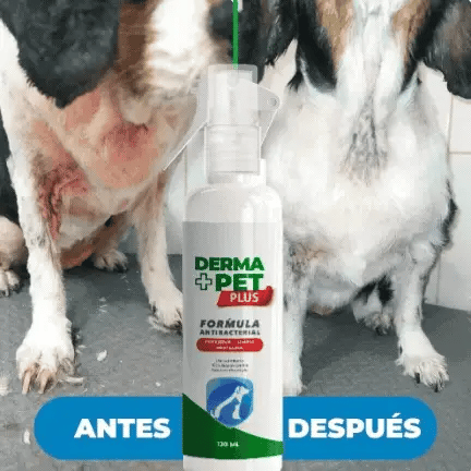 DermaPet™ Elimina dolor e irritación por alergias 🐶🐱